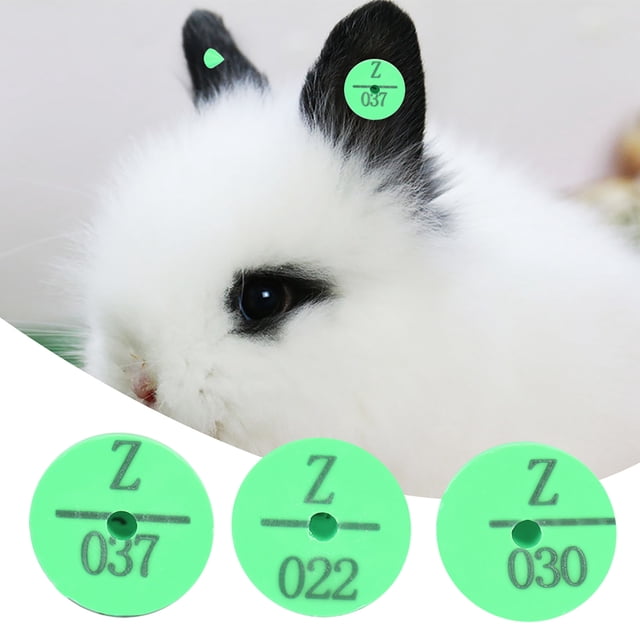 Etiqueta de oreja 100 piezas de plástico de para ganado animal para conejo ANGGREK Otros