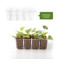 thumbnail image 4 of Procurement: Instructions For Ordering Must Be Without Logo Procurement: Minimum Order Of 10 Sets 6pc/sold 12-hole Hole Tray Transparent Material: PET, 4 of 8