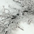 thumbnail image 2 of Northlight 22" Unlit Clear Ice and Snowflakes on Black Twigs Christmas Wreath, 2 of 3