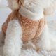 thumbnail image 5 of Soft Fleece Dog Clothes Winter Warm Puppy Kitten Pullover Pet Clothes for Small Dogs Chihuahua Bulldog Apparel Sweater for Dogs ShopWise Round, 5 of 10