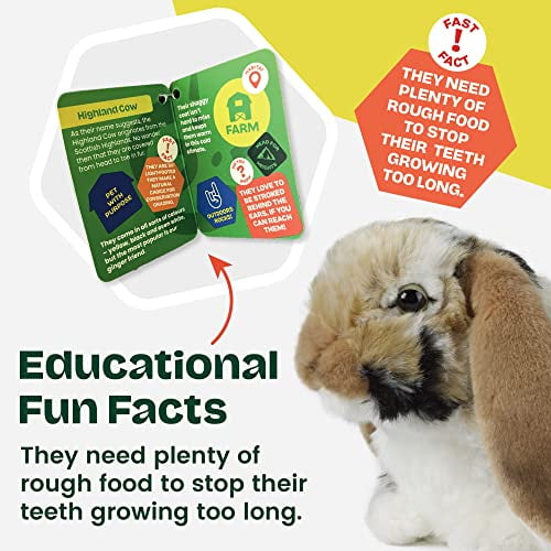 Living Nature Brown Dutch Lop Eared Rabbit Realistic Soft Cuddly Bunny Toy Naturli Eco Friendly Plush 10 Inches