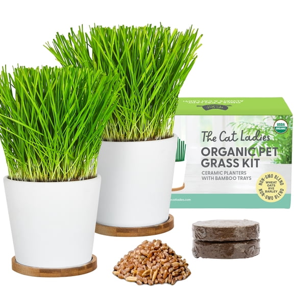 The Cat Ladies Cat Grass Growing kit with Organic Cat Grass Seed, Soil and Two Ceramic Planters with Bamboo Trays Natural Hairball Remedy