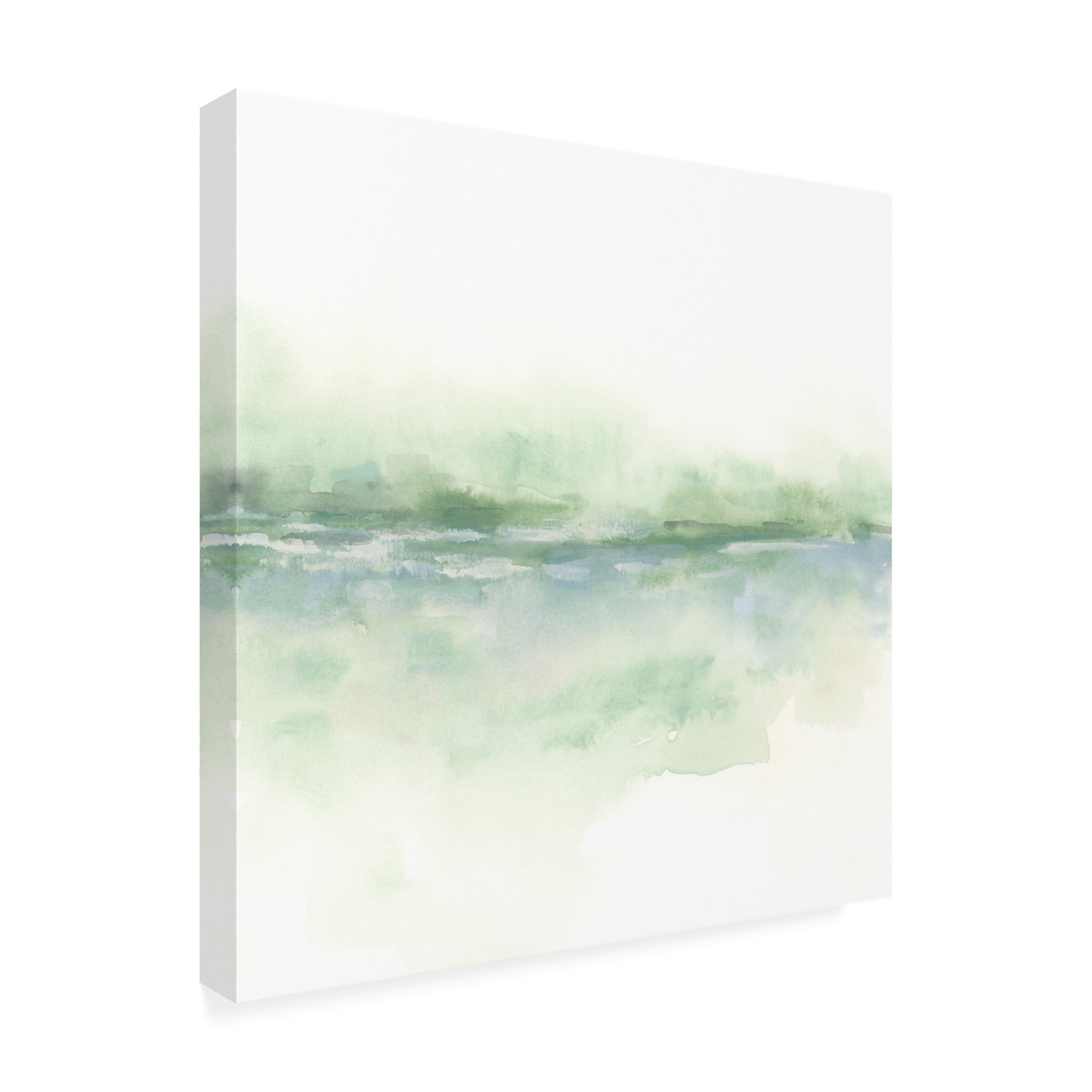 Trademark Fine Art June Erica Vess Moss Mist II Canvas Wall Art