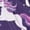 Purple Space Horse, variant on Girls Zip Up Hoodies Pony Donut Printed Fleece Zipper Sweatshirts Hooded for Toddler Girls Cozy Winter Fall Jacket 11-13 Years