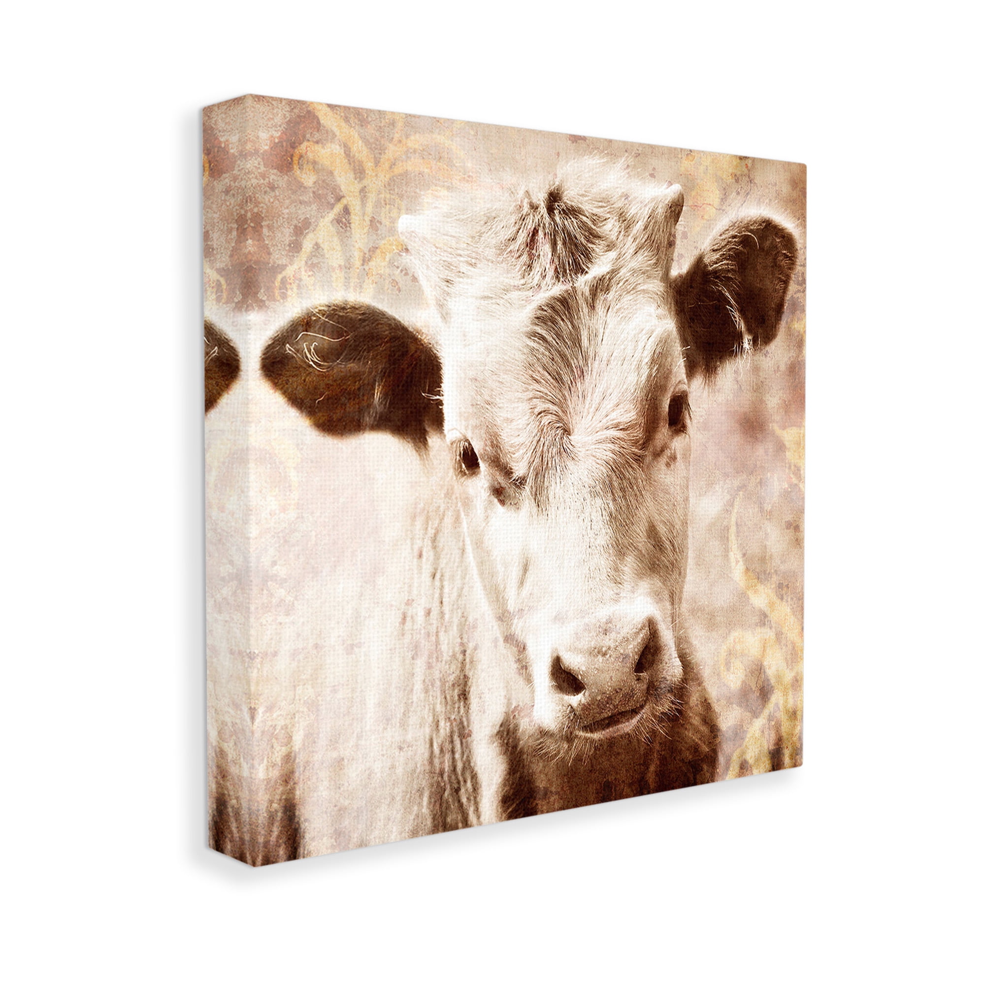 Stupell Industries Abstract Sepia Cattle Animals & Insects Photography Gallery Wrapped Canvas Art Print Wall Art, 30 x 30