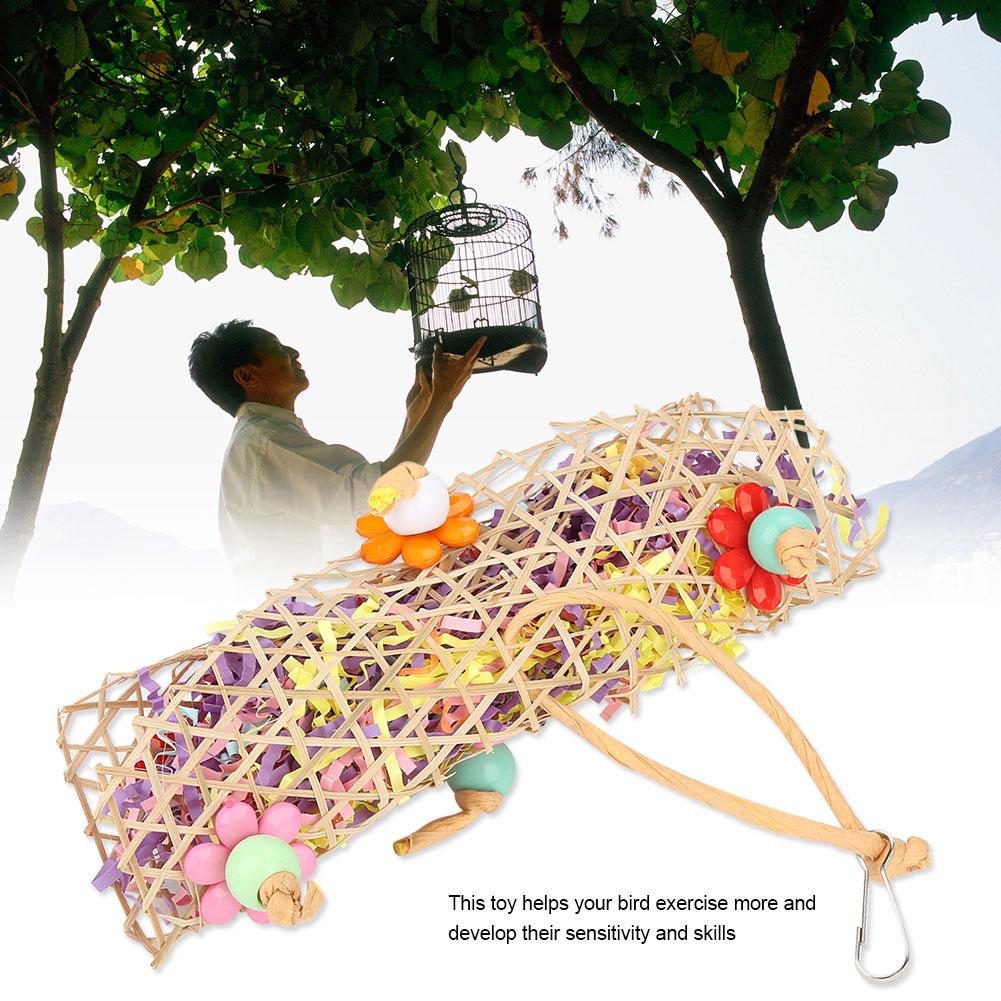 Hanging parrot food picture