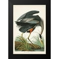 thumbnail image 2 of Audubon, John James 13x18 Black Modern Framed Museum Art Print Titled - Pl 211 Great Blue Heron, 2 of 5