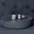 thumbnail image 5 of Rosec Jewels Lab Created Diamond Dog Paw Stud Earrings - EF-VS Quality - Ready to Gift with Jewelry Box, 14K White Gold, 5 of 9