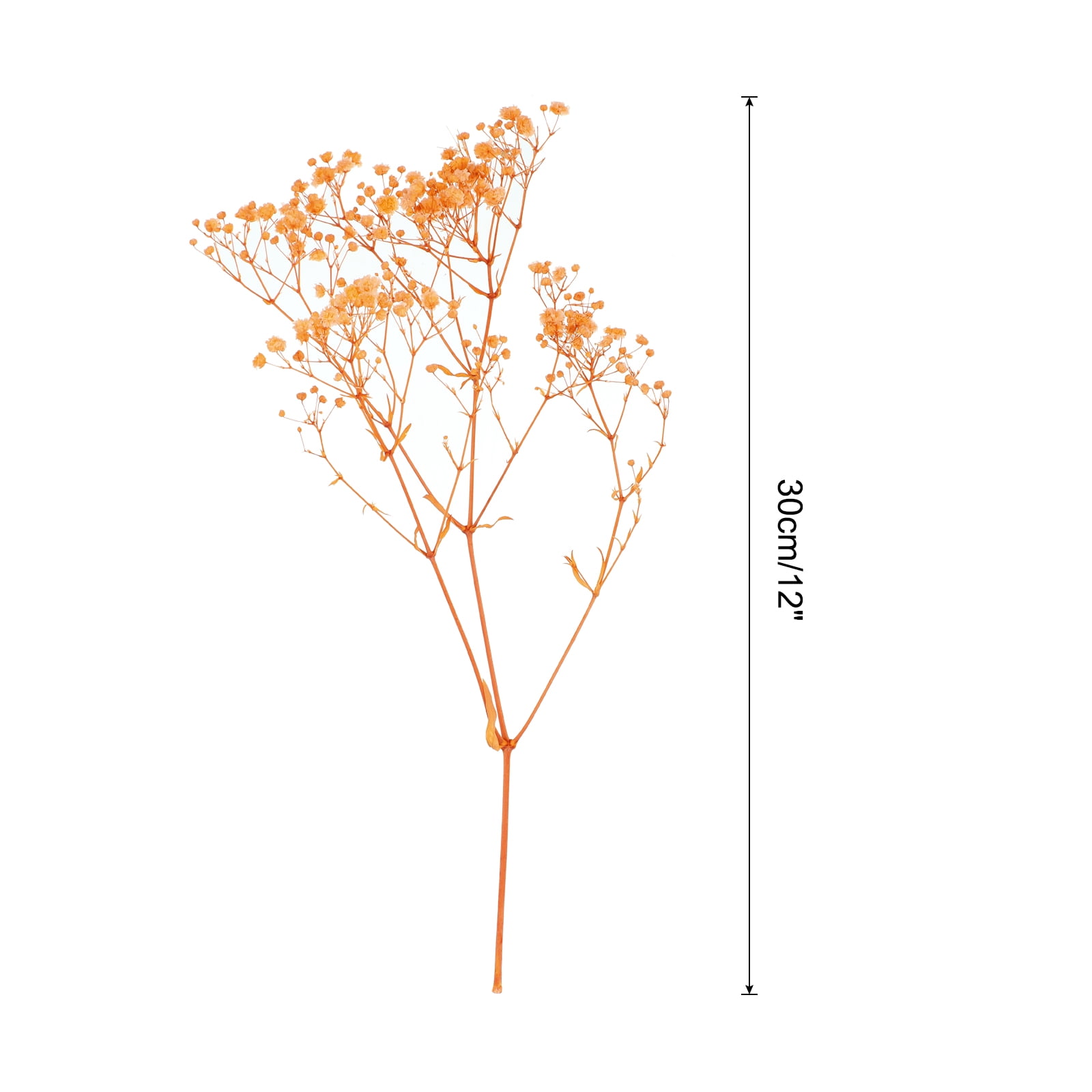 Uxcell Dried Baby's Breath Flowers 12 Inch Gypsophila Orange Natural Baby's Breath Branches for Wedding Party Home Decoration 2 Pcs