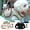 A, variant on RKSTN Portable Cat Dog Harness, Comfortable Legs Out Front Pet Carrier Backpack Cat Puppy Tote Holder Bag for Outdoor Hiking Camping