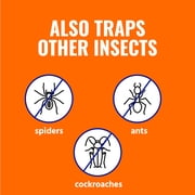 TERRO Refillable Flea Trap