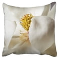 thumbnail image 1 of BOSDECO White Magnolia Tree Flower Floral Trees Flowers Pillowcase Cushion Cover 18x18 inch, 1 of 1