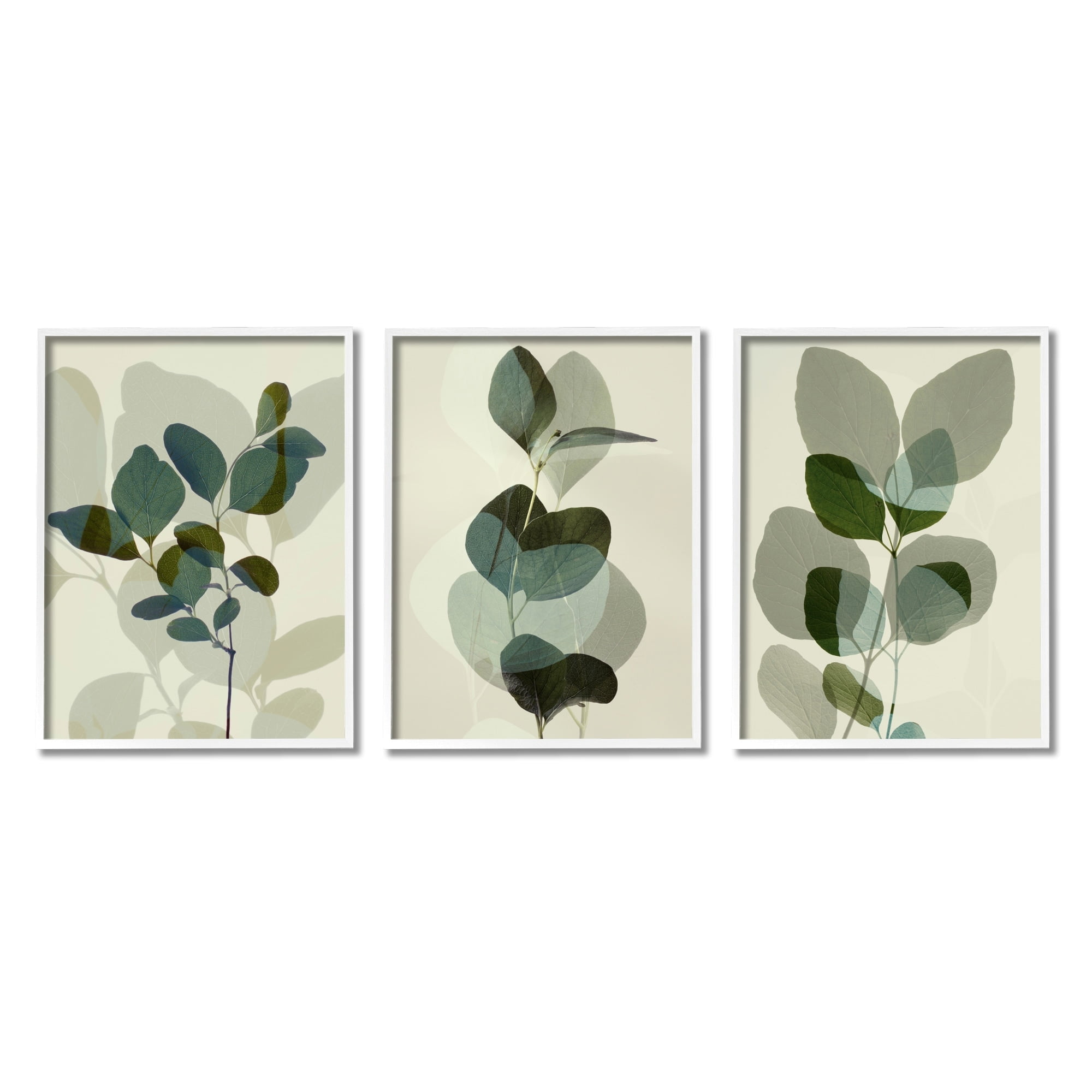 Stupell Industries Modern Forest Plant Photography Overlapping Foliage Shadows, 11 x 14, Design by Ian Winstanley