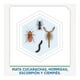 thumbnail image 3 of Insecticida Raid Max mata cucarachas e insectos rastreros en aerosol 285 ml, 3 of 4