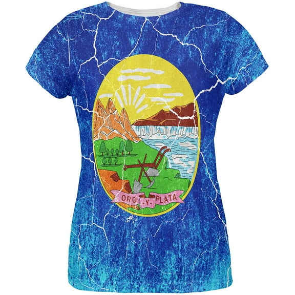 Montana Vintage Distressed State Flag All Over Womens T Shirt Multi SM