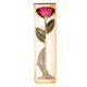 thumbnail image 4 of Rosa Chapada En Oro, Regalos De Flores De Rosas Reales Bañadas En Oro De 24 Quilates, Tallo Largo De 11 A 12 Pulgadas, , única, Romántica única Para Esposa/mamá/novia, 4 of 7