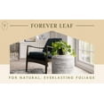 thumbnail image 4 of ARTIFICIAL POTHOS PLANT IN BLACK POT (2 Pack), 4 of 5
