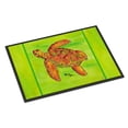 thumbnail image 1 of Carolines Treasures 8376JMAT 24 x 36 In. Turtle Indoor or Outdoor Mat, 1 of 1