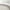 Taupe, variant on Noble Linens 3-Piece Eucalyptus Tossed Ferns Reversible Quilt Set, Queen