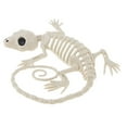 thumbnail image 1 of Juguetes de decoración de Halloween Soledad Esqueleto de animal de Halloween, 1 of 10