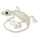 thumbnail image 5 of Esqueleto de huesos Gloria Esqueleto de animal de Halloween, 5 of 9