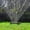Black#1069, variant on Oscillating Lawn Sprinkler for Rectangular Yard and Vegetable Garden, Metal 20-Hole Adjustable Watering Sprinkler, 39–49 ft Coverage, Water-Saving Garden Sprinkler for Grass and Plants