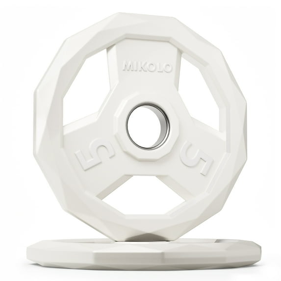 WEIGHT PLATES- 5LB X 2