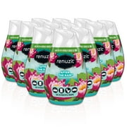Renuzit Gel Air Freshener Cone, After the Rain, 12 Count