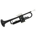 thumbnail image 4 of Winado Bb Trumpet Black Nickel Plating with Mouthpiece for Student, 4 of 12