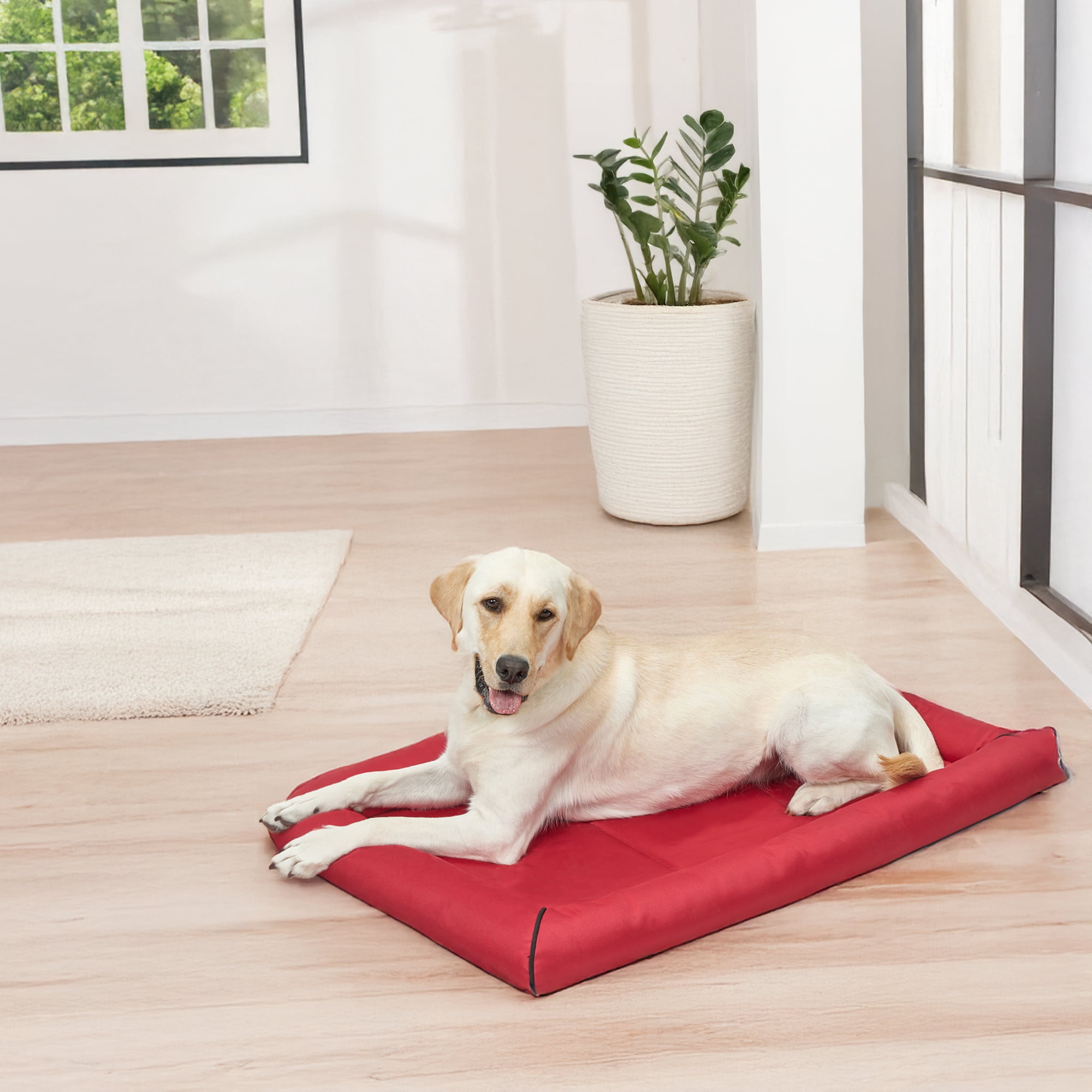 MidWest Homes for Pets Maxx Dog Bed Designed to Fit a 42-Inch Dog Crate, 42-Inch, Red