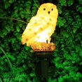 thumbnail image 4 of luz de jardinería Luces LED de jardín- de noche forma de lámpara de césped con energía Solar-impermeable, ahorro de energía, 4 of 8