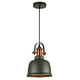 thumbnail image 1 of Lámpara Colgante Tecnolite HOME Aurea Gris 60W, 1 of 4