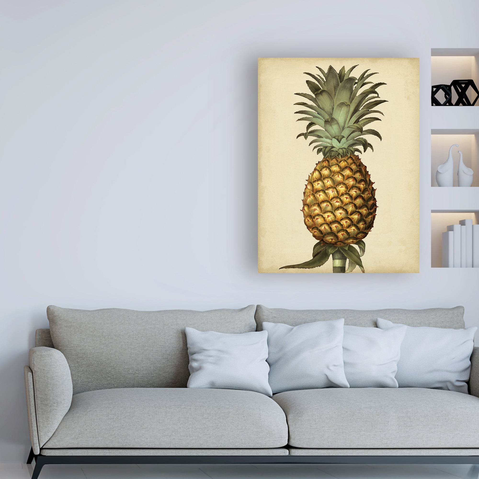 Trademark Fine Art 'Brookshaw Antique Pineapple I' Canvas Art by George Brookshaw