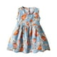 thumbnail image 1 of Odeerbi Niñas Verano Algodón Vestido Tanque Floral Vestido Sol Sin Mangas A-Vestido Sin Mangas de Princesa, 1 of 3