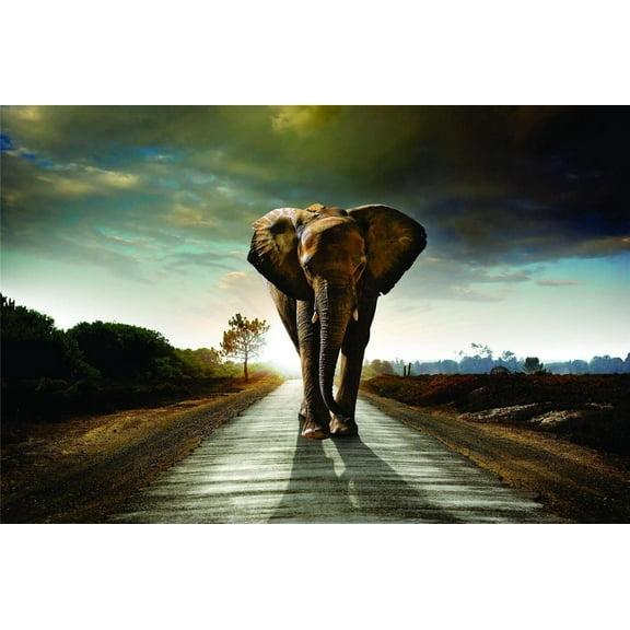 Design With Vinyl Home Wall Decals Overd Elephant Wild African Safari Motivational Wall Decal for Boys Girls Bedroom - DIY and Removable - Size: 10 In x 20 In