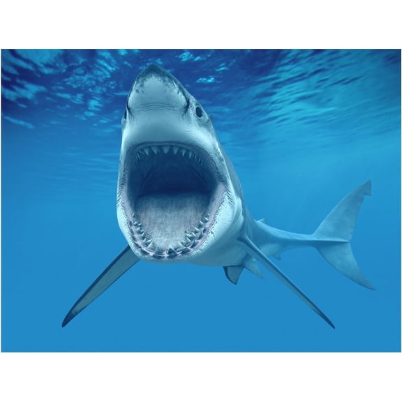 TNCT Shark Attacking Edible Image Cake Topper for Quarter Sheet Cake