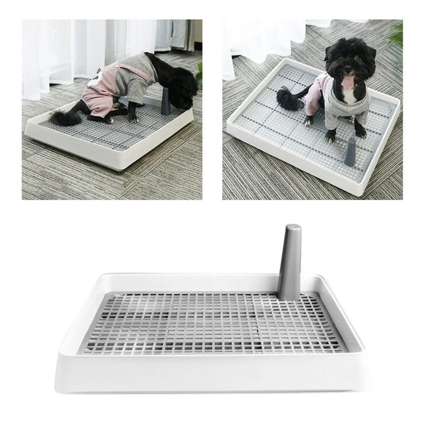 Bandeja para orinal para perros Salvador con poste vertical limpia y lavable L