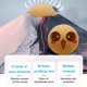 thumbnail image 4 of Soidarity Rodillo absorbente de aceite facial, cabezales dobles, removedor de barra rodante Tratamientos faciales Azul Soidarity CE013651-02B, 4 of 6
