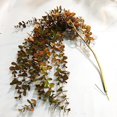 thumbnail image 1 of 104cm Fake Eucalyptus Rattan Artificial Plants Vine Plastic Tree Branch Wall Hanging Leafs For Home Garden Outdoor Wedding Decor My Lux Decor Round, 1 of 8