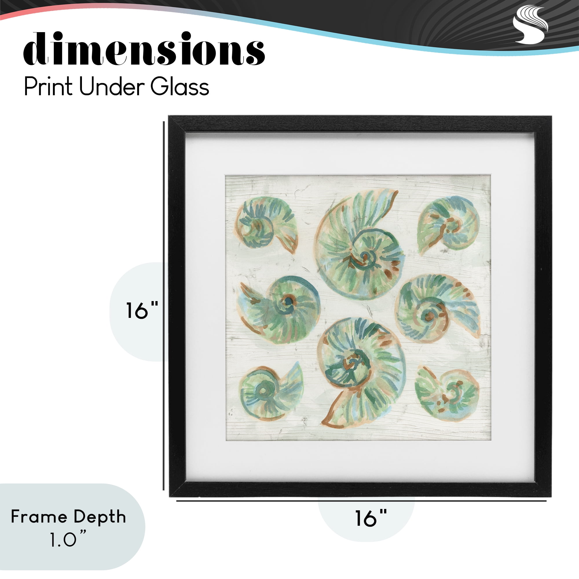 Stupell Industries Organic Saltwashed Shells Black Framed Print Under Glass, design by June Erica Vess