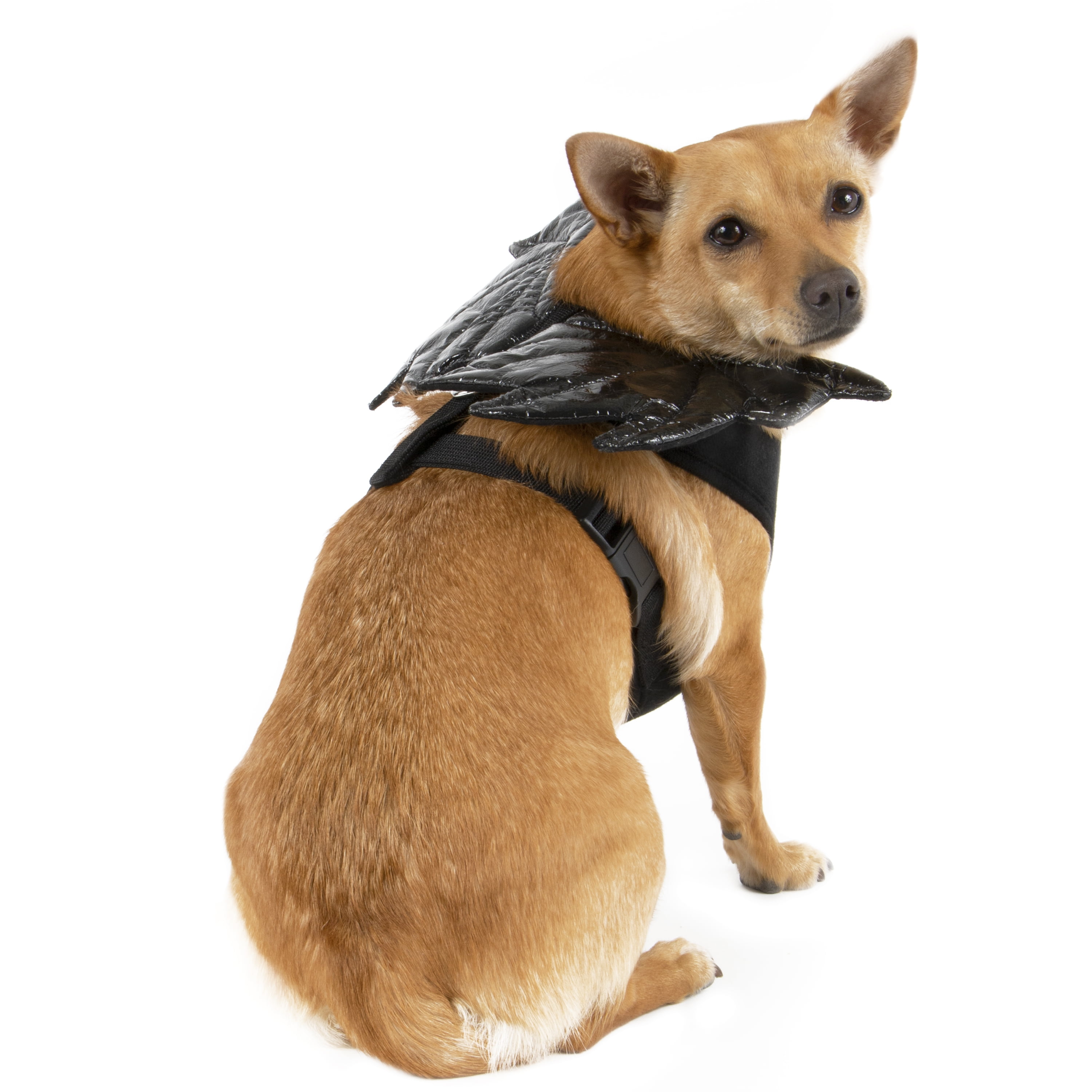 halloween dog harness