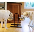 thumbnail image 4 of Iconic Pet  Stainless Steel Adjustable Pet Double Diner 12 cup, 4 of 4