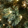 thumbnail image 5 of 7 ft. Pre Lit Clear Incandescent Hard Needle Deluxe Cashmere Pine, 5 of 6