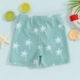 thumbnail image 4 of Boys Swim Shorts 4t Toddler Dinosaur Print Swim Trunks Little Boys Bathing Suit Swimsuit Toddler Boy Swimwear,18(18-24 Months),C-Green, 4 of 5