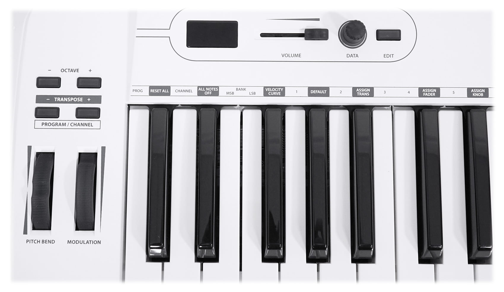 Stand Software Samson Carbon 49 Key USB MIDI DJ Keyboard Controller 