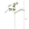 thumbnail image 5 of Zukuco Artificial Lambs Ear Stems Faux Greenery Stems Bulk Flocked Lamb's Ear Fake Lambs Ear Picks Plants for DIY Wreath Wedding Flower Arrangement (12 Pcs), 5 of 7