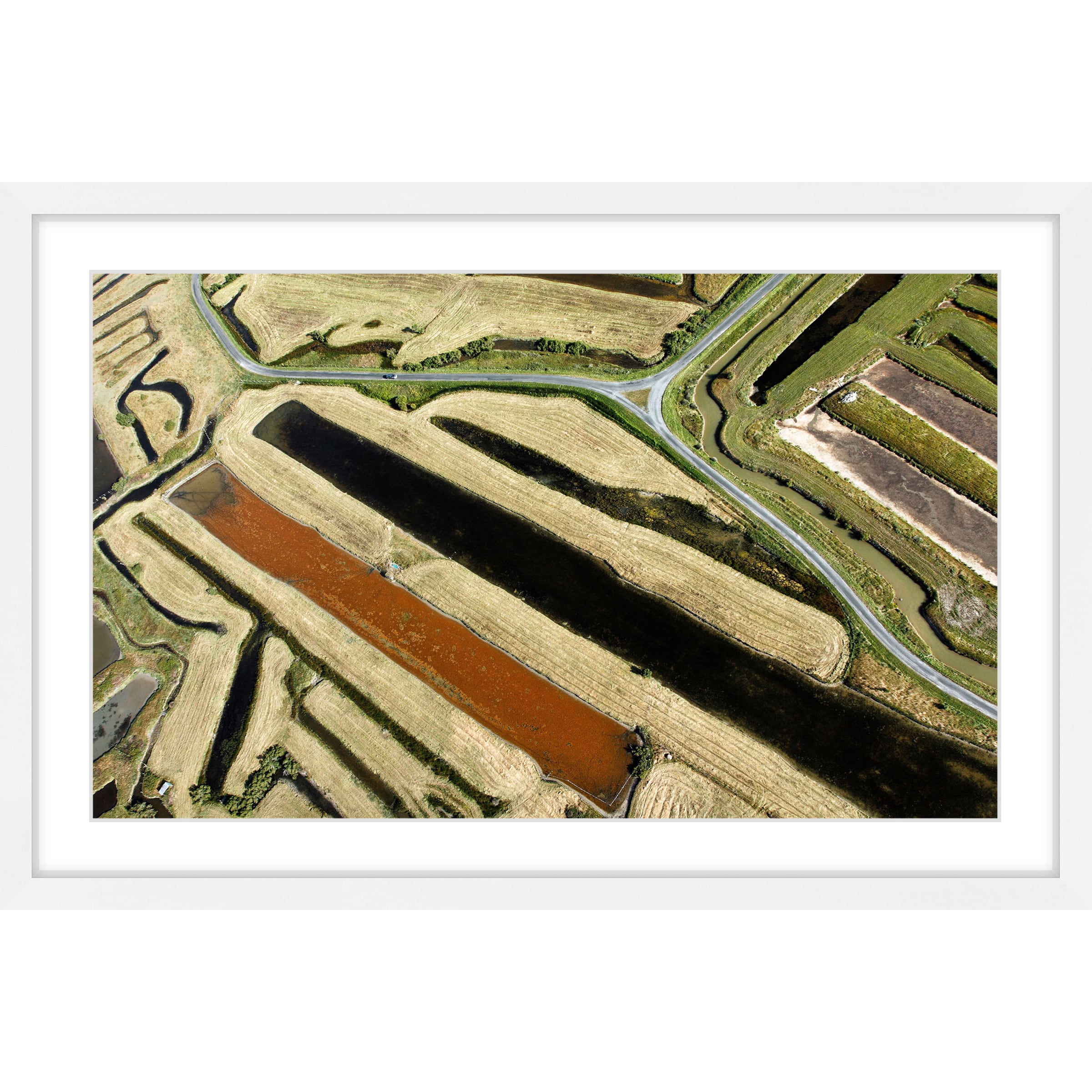 Marmont Hill "Green Paths" Framed Painting Print