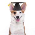 thumbnail image 4 of 2pcs Black Graduation Caps with Tassels Pet Toys Costumes Dress Up Accessories Graduation Ceremony Hat Photo Props for Pet Dog Cat, 4 of 4