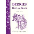 thumbnail image 1 of Pre-Owned Berries, Rasp- & Black: Storey Country Wisdom Bulletin A-33 (Paperback) by Louise Riotte, 1 of 1