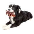 thumbnail image 2 of Pet Life ® 'Dura-Chew' Plush Animal Nylon Squeaker Dog Toy, 2 of 2